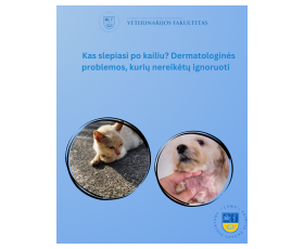 Kas slepiasi po kailiu? Dermatologinės problemos, kurių nereikėtų ignoruoti.