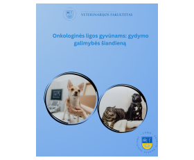 Onkologinės ligos gyvūnams: gydymo galimybės šiandieną