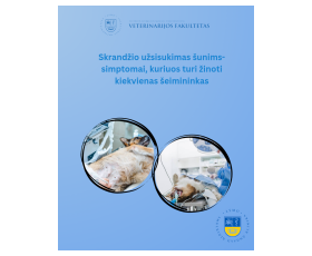 Skrandžio užsisukimas šunims-simptomai, kuriuos turi žinoti kiekvienas šeimininkas