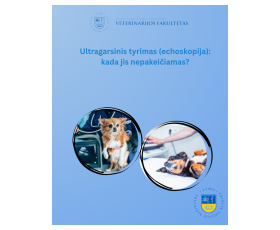 Ultragarsinis tyrimas: kada jis nepakeičiamas