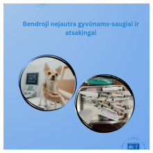 Bendroji nejautra gyvūnams- saugiai ir atsakingai