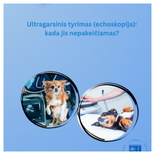 Ultragarsinis tyrimas: kada jis nepakeičiamas